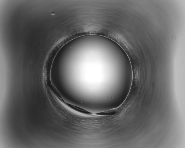 X0000098070684200804110923