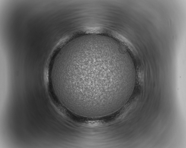 X0000098070686200804110923