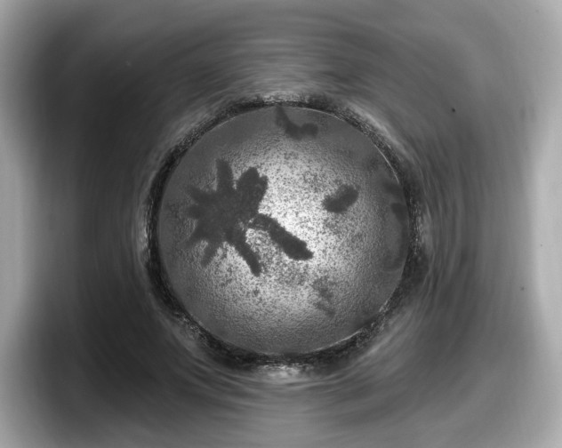 X0000098070687200804110923