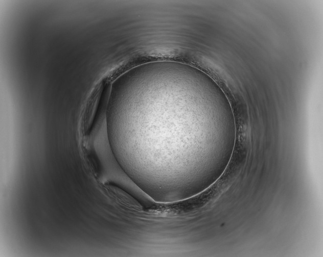 X0000098070688200804110923