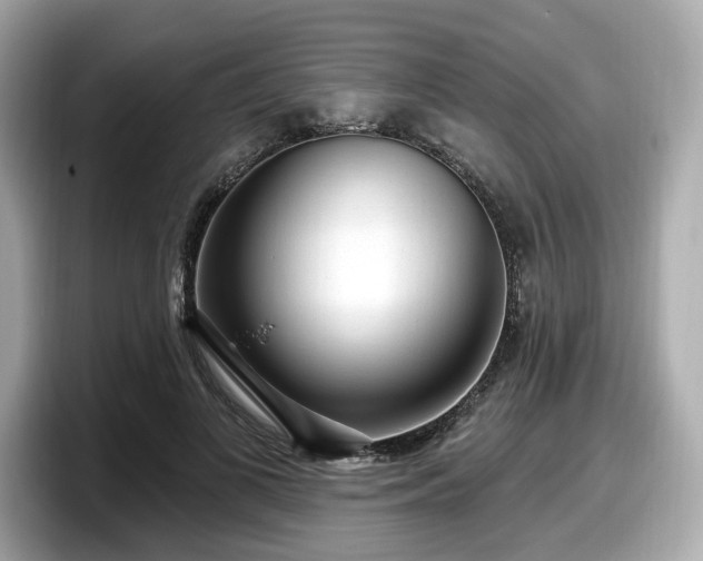 X0000098070693200804110923