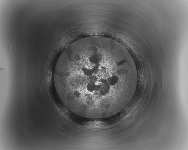 X0000098070695200804110923