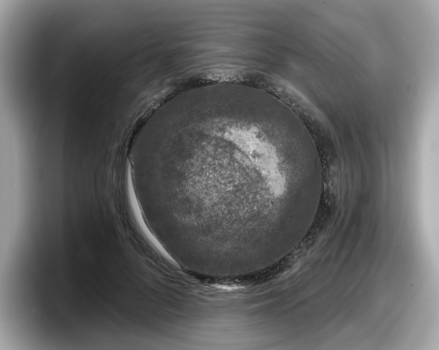 X0000098070696200804110923