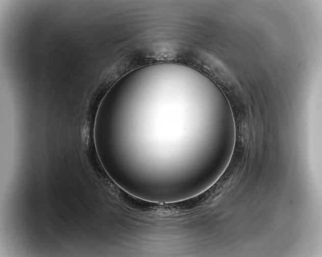 X0000098070697200804110923