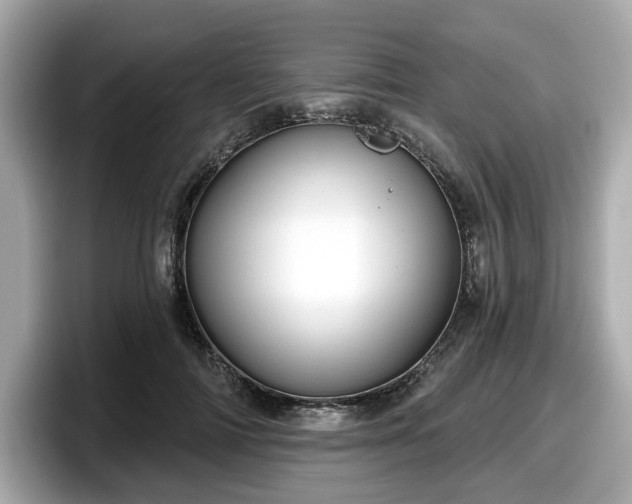 X0000098070698200804110923