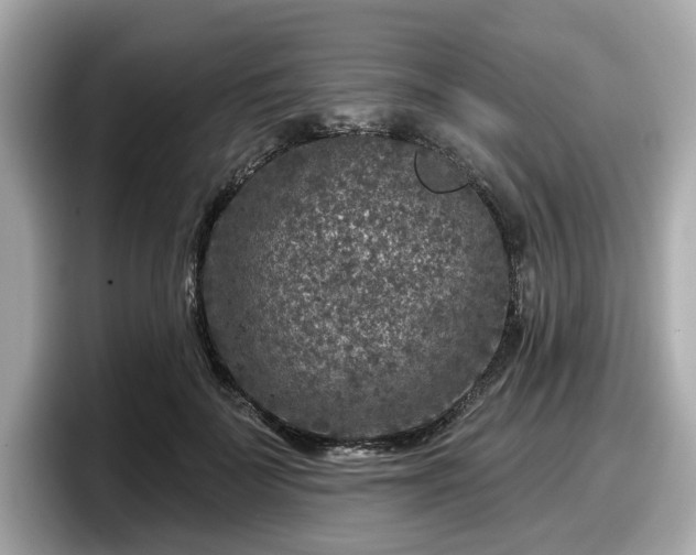 X0000098070699200804110923