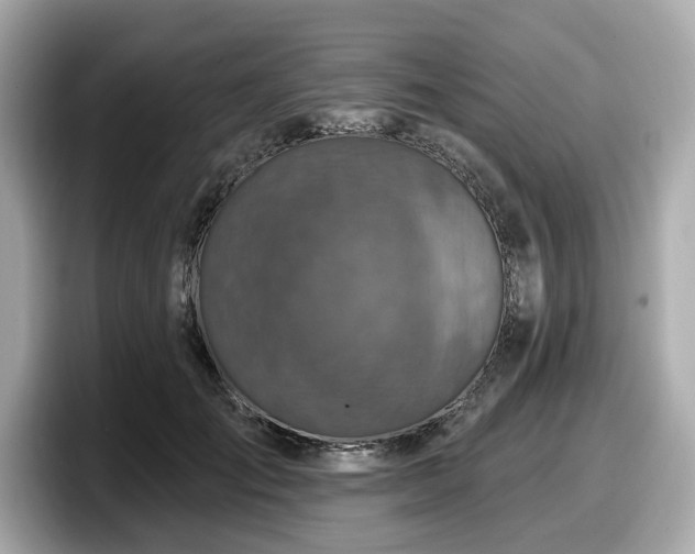 X0000098070701200804110922