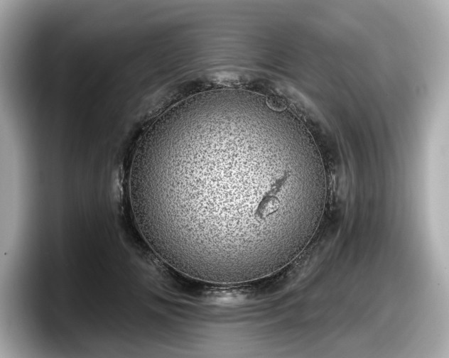 X0000098070702200804110922