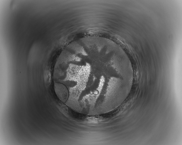 X0000098070703200804110922