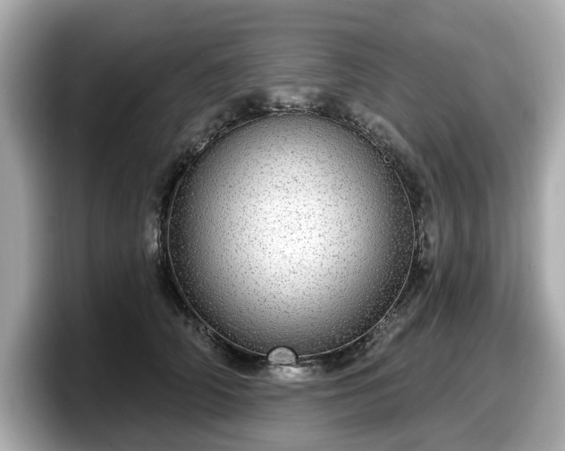 X0000098070706200804110922