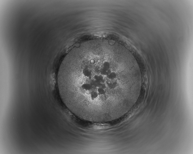 X0000098070707200804110922