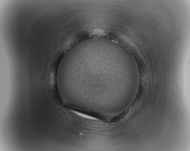 X0000098070708200804110922