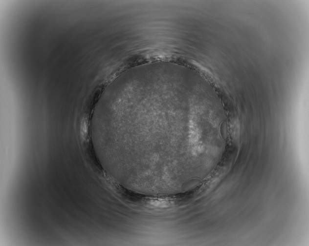 X0000098070709200804110922