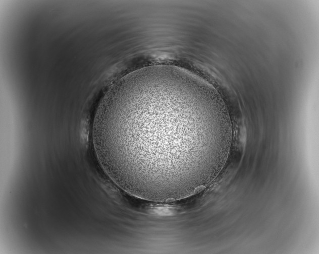 X0000098070710200804110922