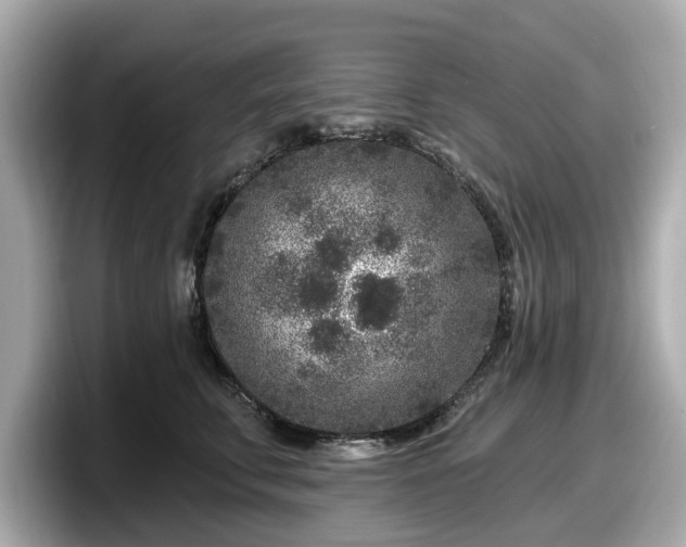 X0000098070711200804110922