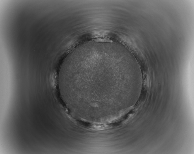 X0000098070712200804110922