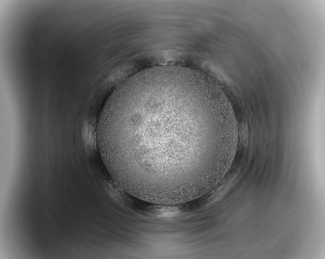 X0000098070719200804110922