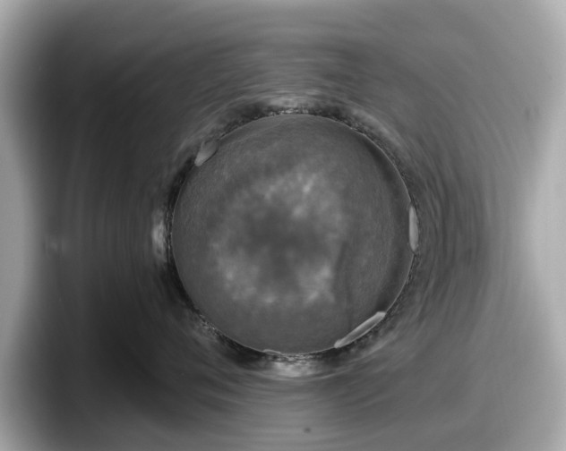 X0000098070720200804110922