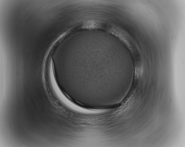 X0000098070724200804110922