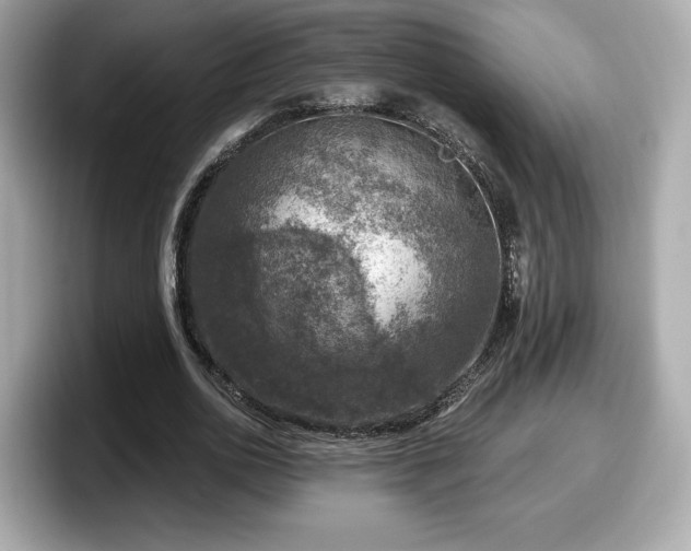 X0000098070726200804110922