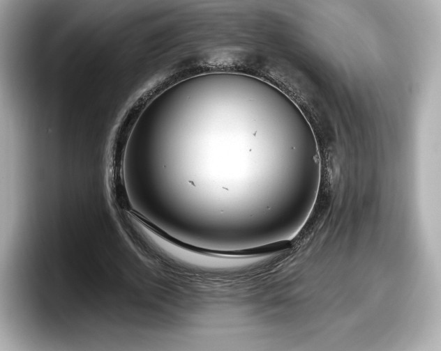 X0000098070728200804110922