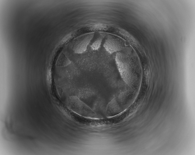 X0000098070729200804110922