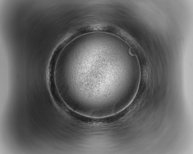 X0000098070730200804110922