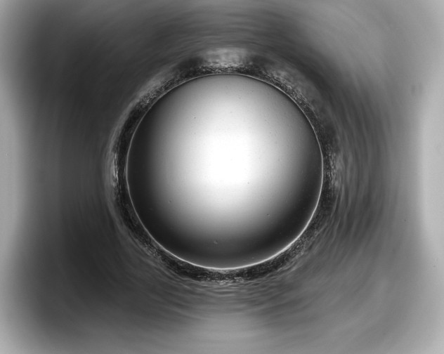 X0000098070731200804110922