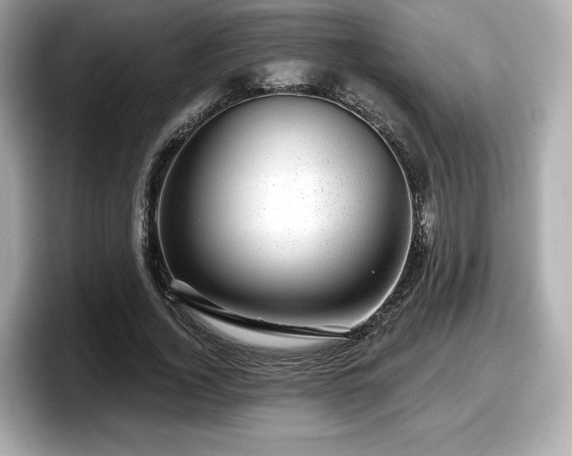 X0000098070732200804110922