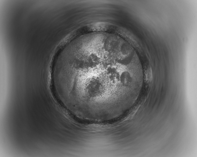 X0000098070733200804110922