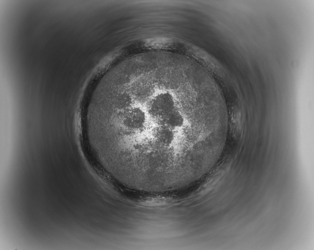 X0000098070734200804110922