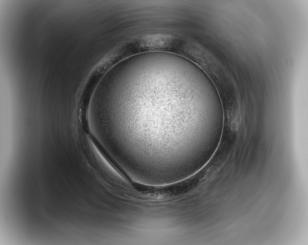 X0000098070735200804110922