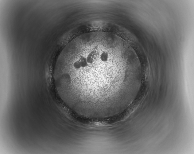 X0000098070737200804110922