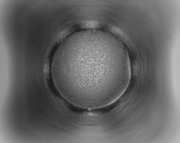 X0000098070739200804110922