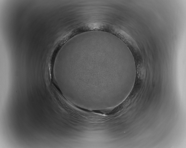 X0000098070740200804110922