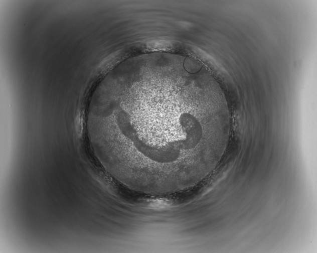 X0000098070741200804110922