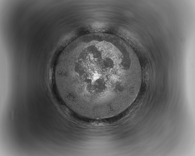 X0000098070742200804110922