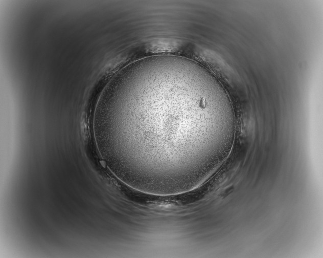 X0000098070743200804110922