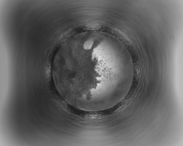 X0000098070745200804110922