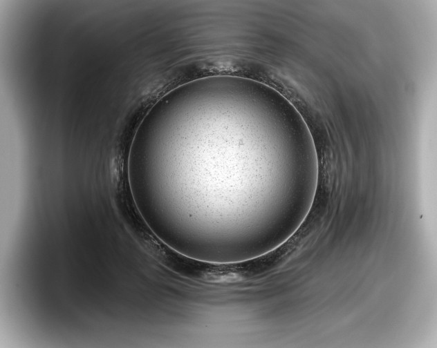 X0000098070747200804110922