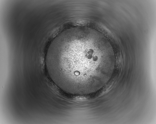 X0000098070749200804110922