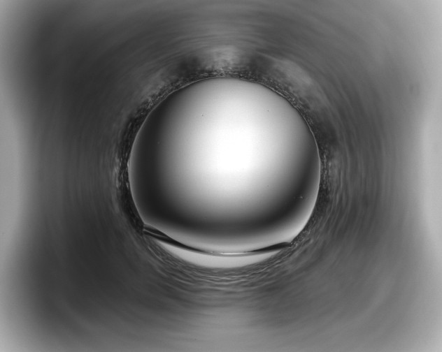 X0000098070750200804110922