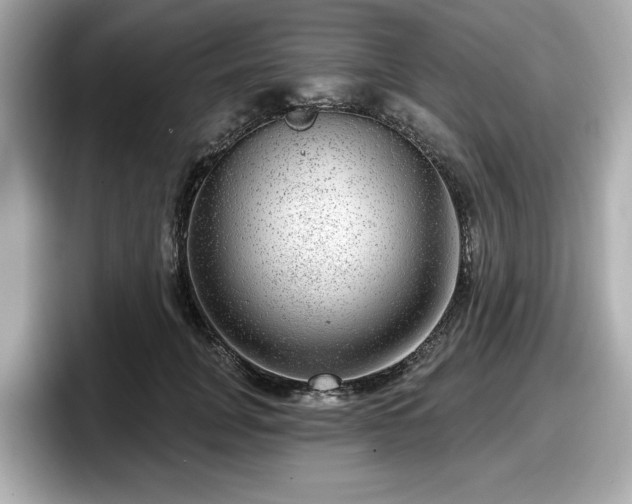 X0000098070751200804110922