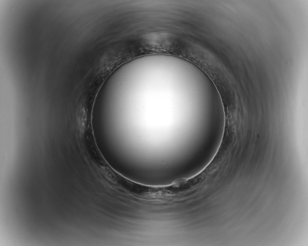 X0000098070752200804110922