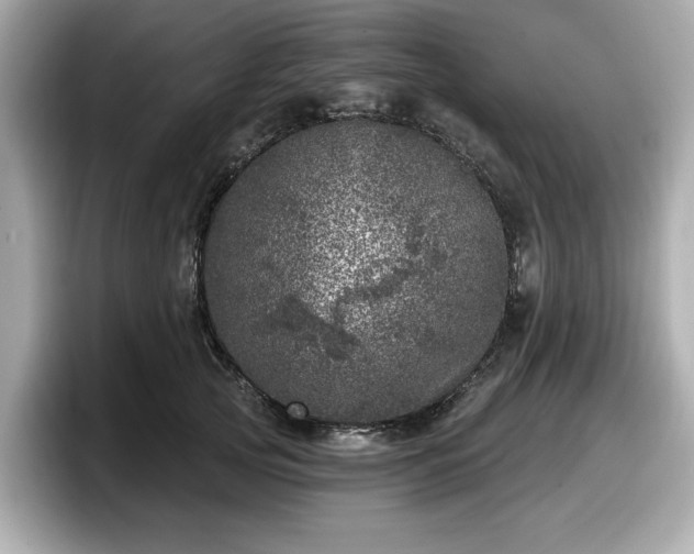 X0000098070753200804110922