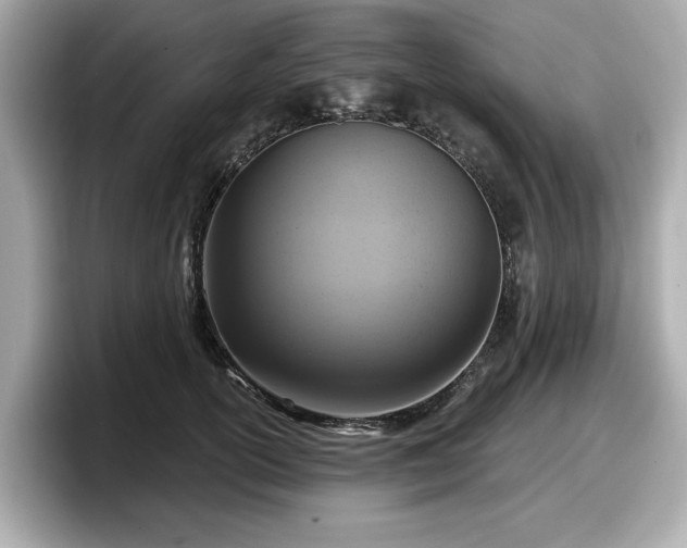 X0000098070754200804110922