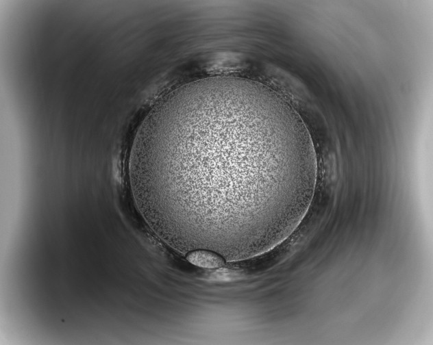 X0000098070755200804110922