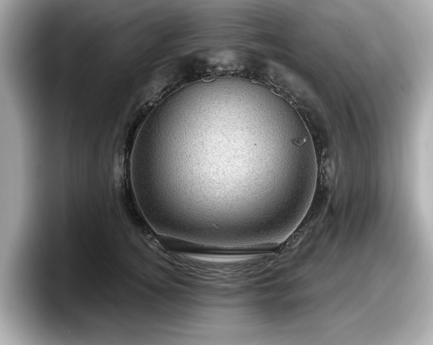 X0000098070756200804110922