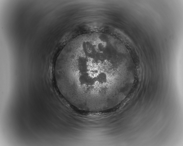 X0000098070757200804110922