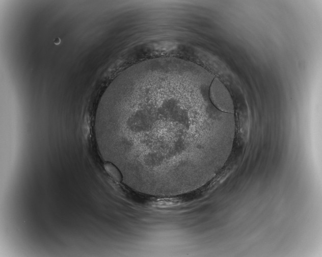 X0000098070758200804110922